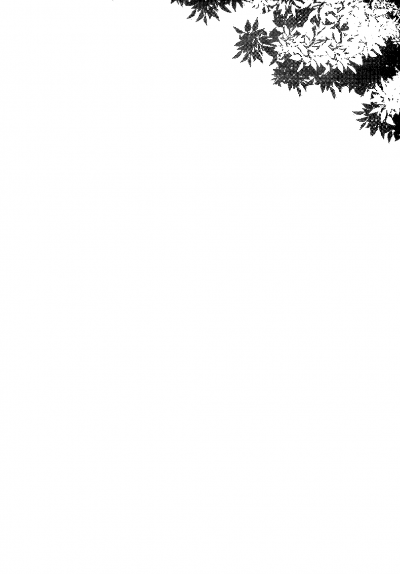 023.png