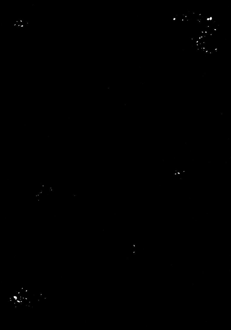 b07f55c7fd136392763729b9782f7776