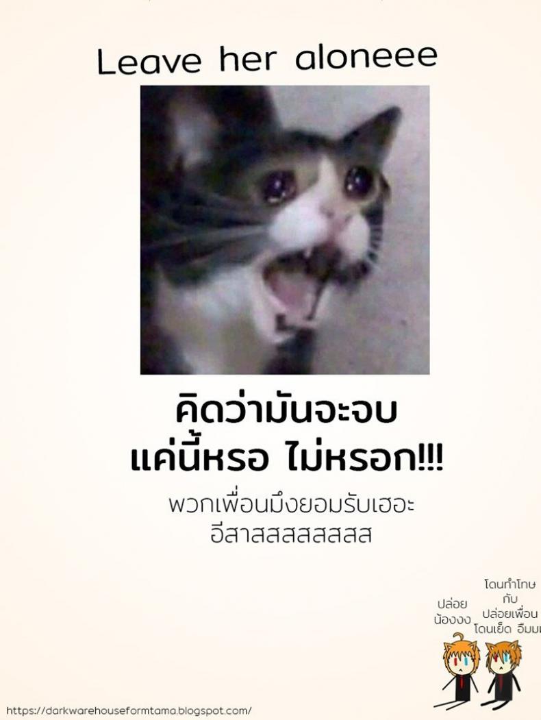 e0e28452229af52e70f87dd03c3a30c2