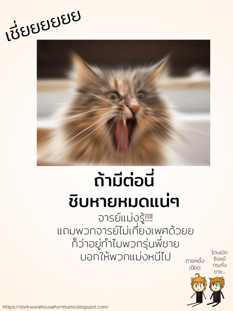 648b9906a614a4bb30c20591243c65ec