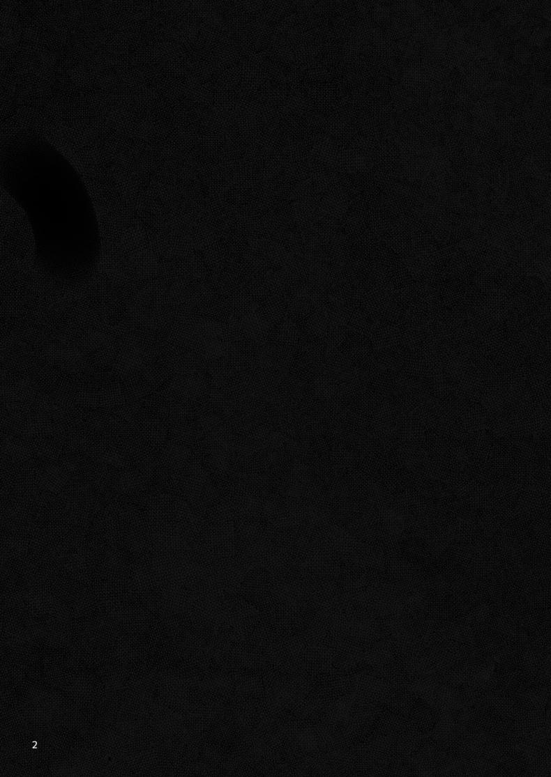 f99687dd719c4e8bc6a39e946c3d9ef7