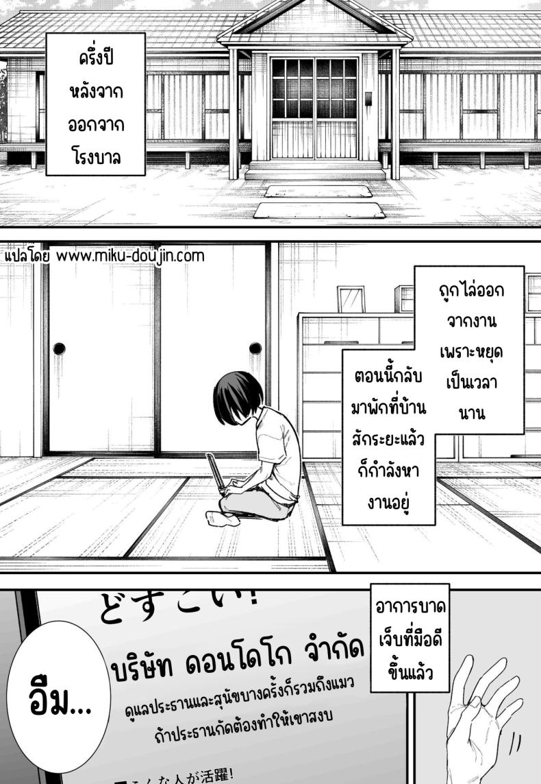 3fb5ed13afe8714a7e5d13ee506003dd