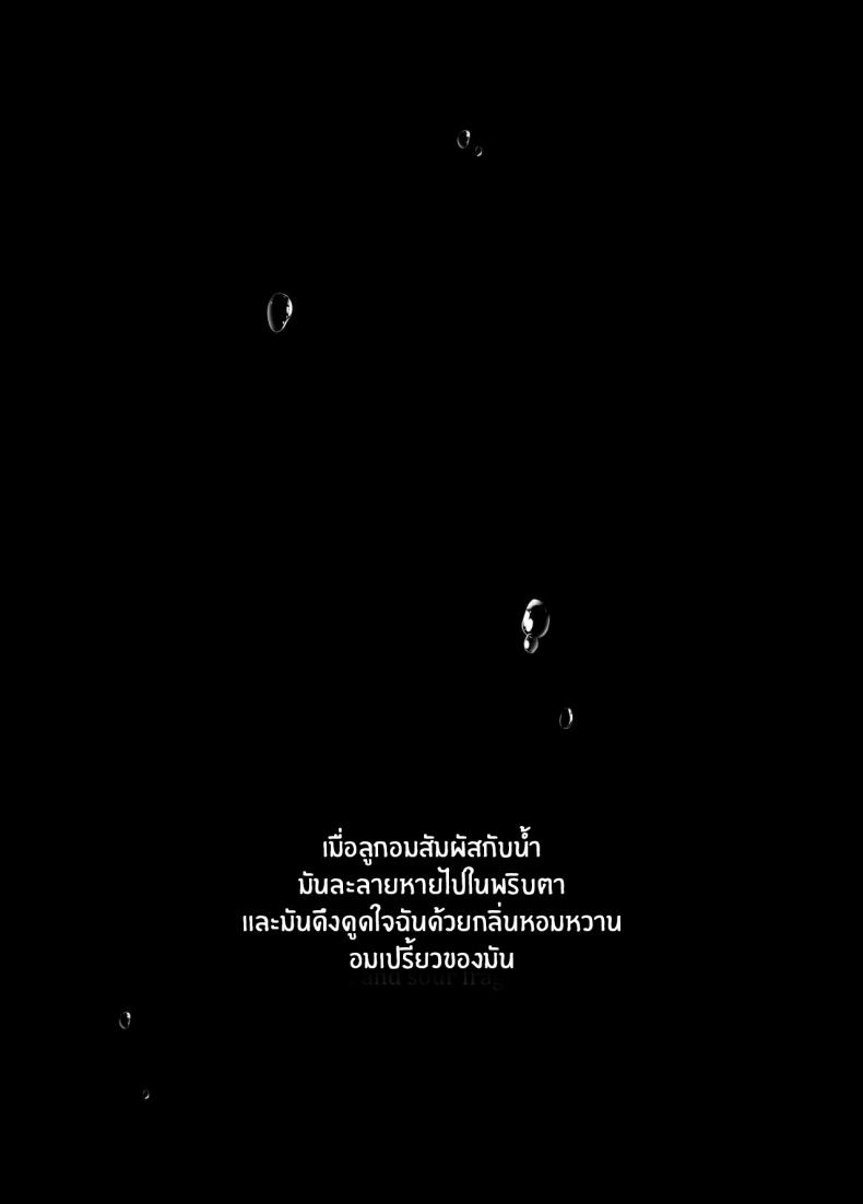 3fb5ed13afe8714a7e5d13ee506003dd
