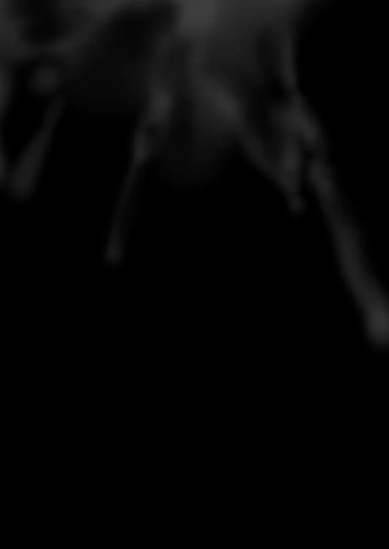 b6e07ba593a70dbe0bc1a67eabc2fbb6