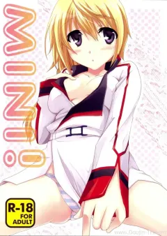 yamabuki-mook-mini-infinite-stratos
