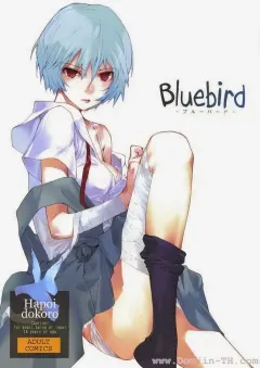 c77-hapoi-dokoro-okazaki-takeshi-bluebird-neon-genesis-evangelion