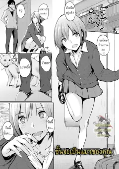 napata-ill-be-your-cat