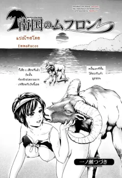 ichinose-tsuzuki-nangoku-no-mouflon-mouflon-of-the-south