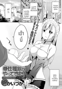 ibj37