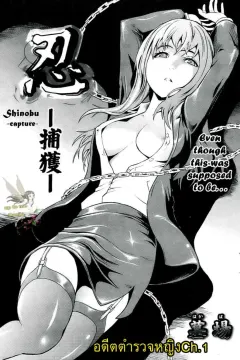 hakaba-dairiseki-shinobu