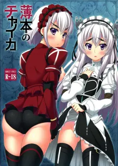 vpagsk4