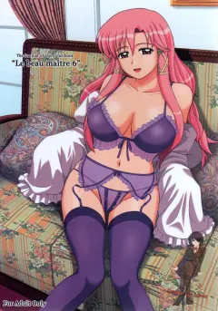 c76-g-scan-corp-satou-chagashi-le-beau-maitre-6-zero-no-tsukaima